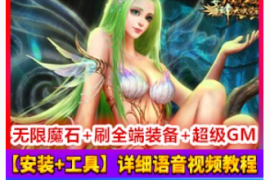 魔域Online网游单机 血族假人网单 添加宝宝血族版魔域一键端游戏
