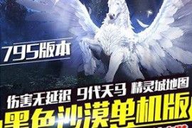 黑色沙漠Online网游单机 795单机版一键端 九代天马版带GM后台