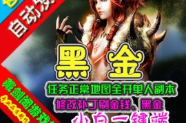 黑金Online网游单机版一键端，不卡任务地图全开单人副本带教程GM工具