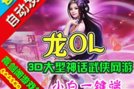 龙Online网游单机版3D武侠网络游戏一键端无限刷等级元宝金钱装备