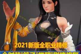 黑色沙漠Online网游单机 2260版网单 2021全新一键端解压既玩，捏脸包