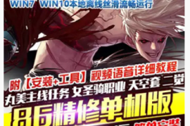 DNFOnline网游单机 地下城与勇士单机版86精修全任务二觉85SS镇魂曲女圣骑GM
