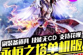永恒之塔Online网游单机版 5.8-6.5版永恒之塔游戏服务端 带架设教程GM