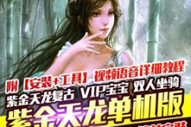 天龙八部Online网游单机版 2019毛毛天龙紫金3天龙复古版一键端