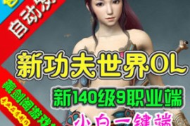 新功夫世界Online网游单机版，3D武侠网络游戏新140级9职业GM刷元宝