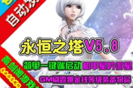 永恒之塔Online网游单机V5.8单机版一键端 3D网游永恒之塔服务端GM刷装备