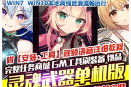 灵魂武器Online网游单机版 简单一键端GM刷元宝金钱装备物品