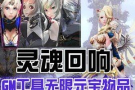 灵魂回响Online网游单机版 网游灵魂回响游戏一键端下载