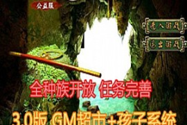 大话西游2Online网游单机版 3.0版带GM超市 带孩子系统 任务剧情修复完善