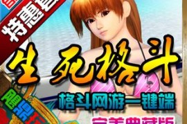 生死格斗Online网游单机一键端 大型3D格斗游戏单机版网游