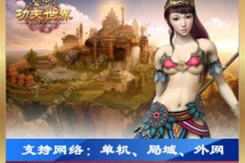 功夫世界Online网游单机版一键端，3D网游功夫世界游戏服务端带GM工具